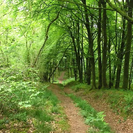 Millbrook House * Oldcastle