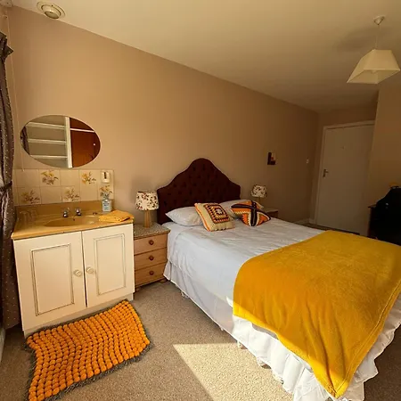 公寓 Millbrook House Oldcastle