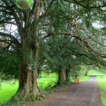 Daire Millbrook House