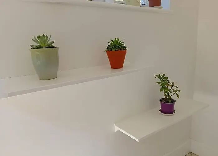 Millbrook House Lejlighed *