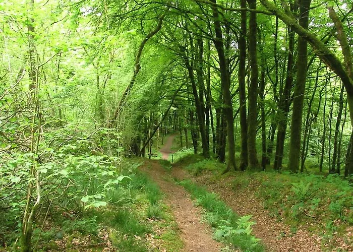 Millbrook House * Oldcastle